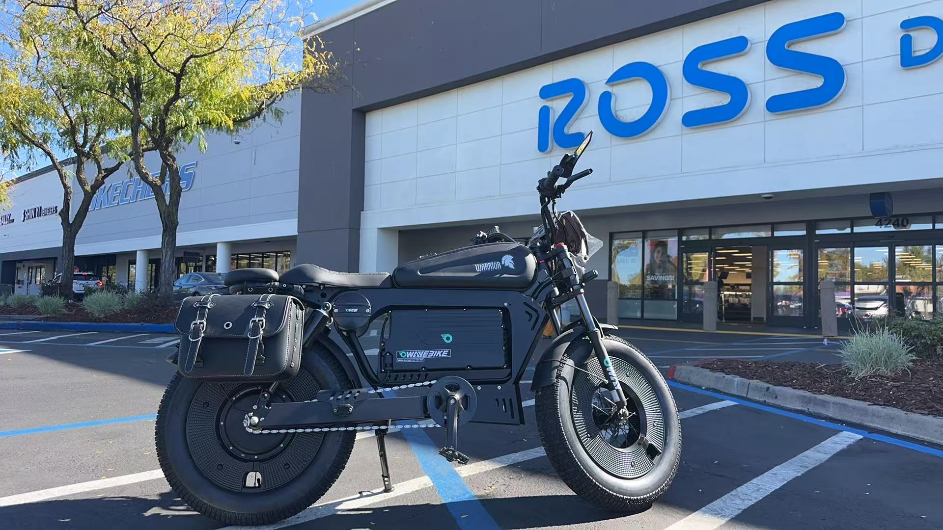 Oway LITE 1500W Retro Cruiser Electric Bike | 70km/h High Speed | Removable lithium battery