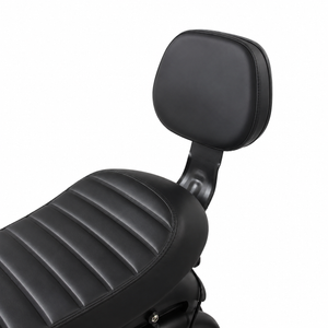 SK-1 Backrest