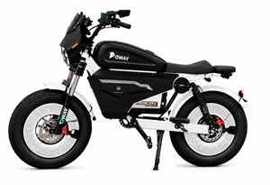 Custom Order – 3000W White Electric Bike / Bluetooth Speaker / Phone Cup Holder / Black Battery Armor with Color-Changing Light Strip / GPS