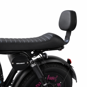 SK-1 Backrest