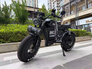 UK Orders Only | OWAY SK-1 Panther Long Range High-Speed Fat Tire Electric Bike