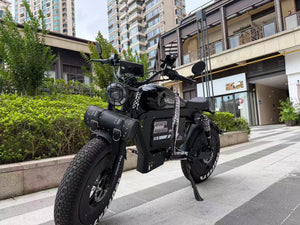 UK Orders Only | OWAY SK-1 Panther Long Range High-Speed Fat Tire Electric Bike