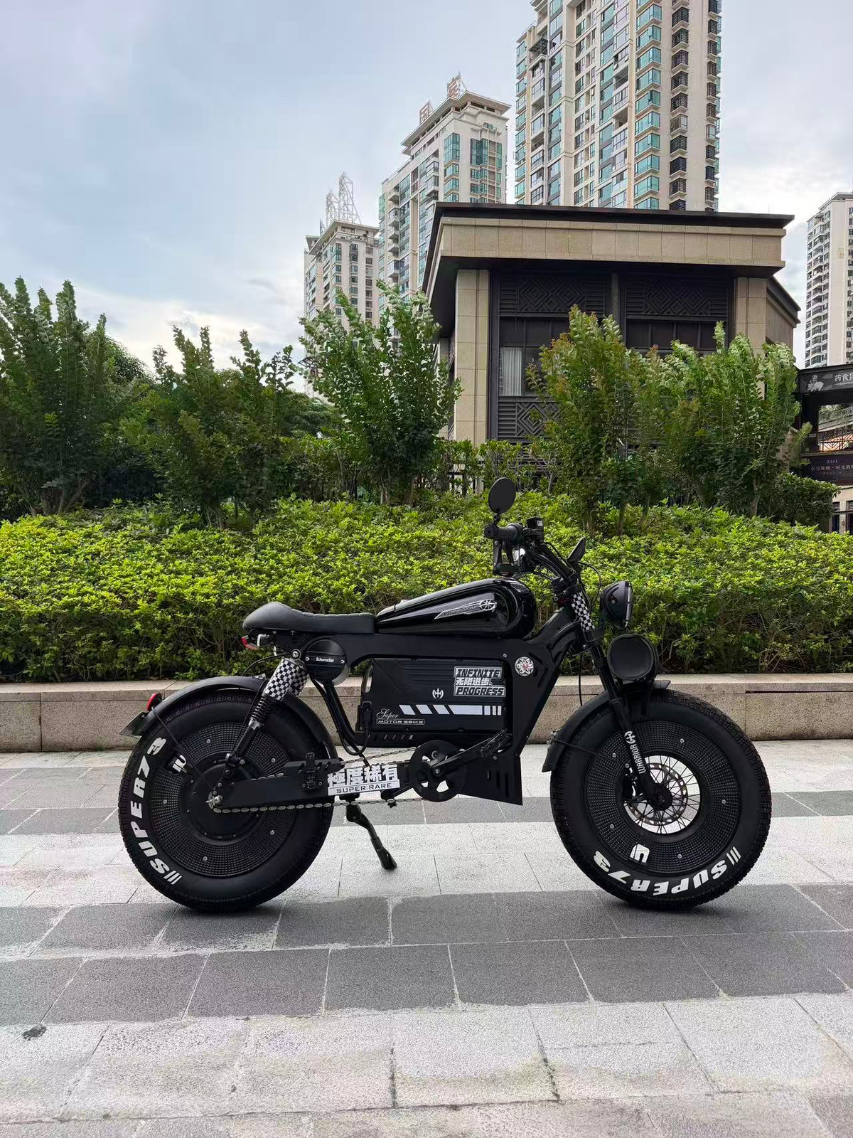 UK Orders Only | OWAY SK-1 Panther Long Range High-Speed Fat Tire Electric Bike
