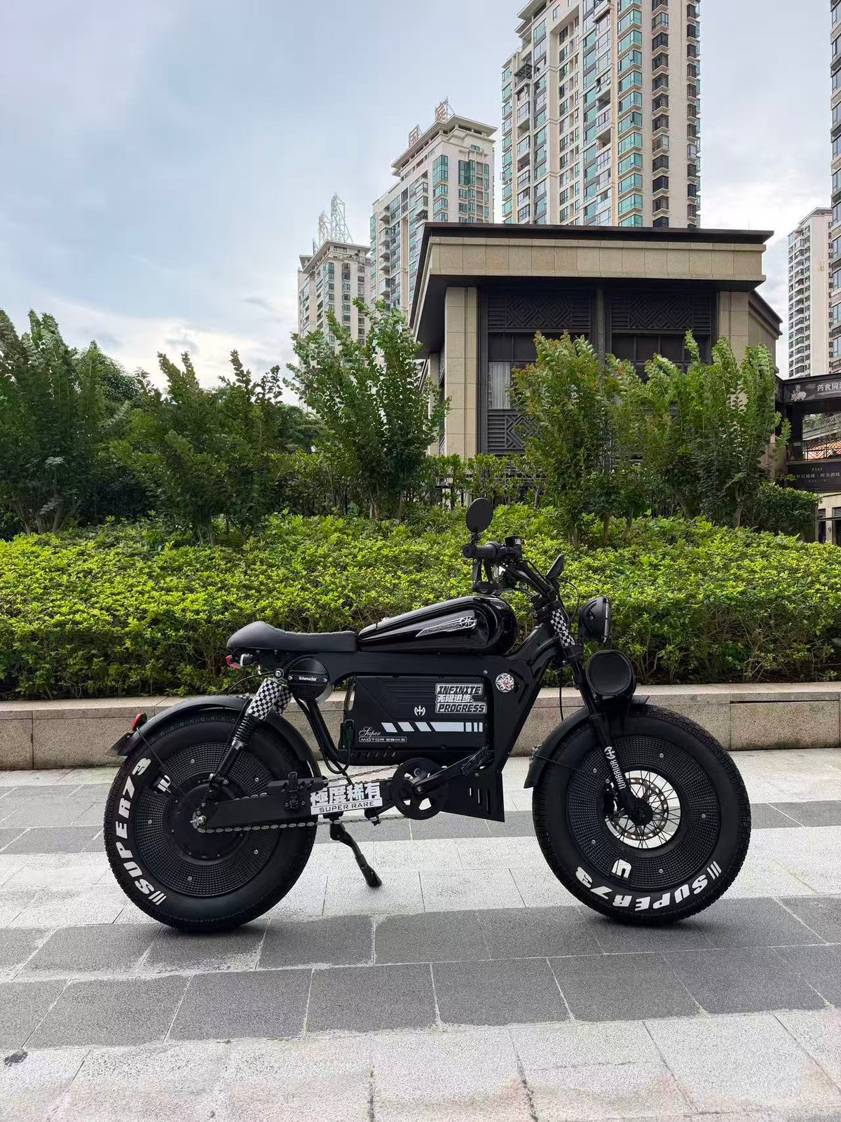 UK Orders Only | OWAY SK-1 Panther Long Range High-Speed Fat Tire Electric Bike