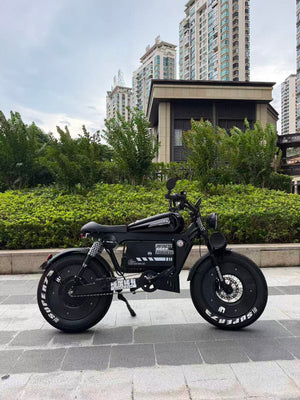 UK Orders Only | OWAY SK-1 Panther Long Range High-Speed Fat Tire Electric Bike