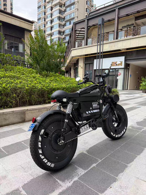 UK Orders Only | OWAY SK-1 Panther Long Range High-Speed Fat Tire Electric Bike
