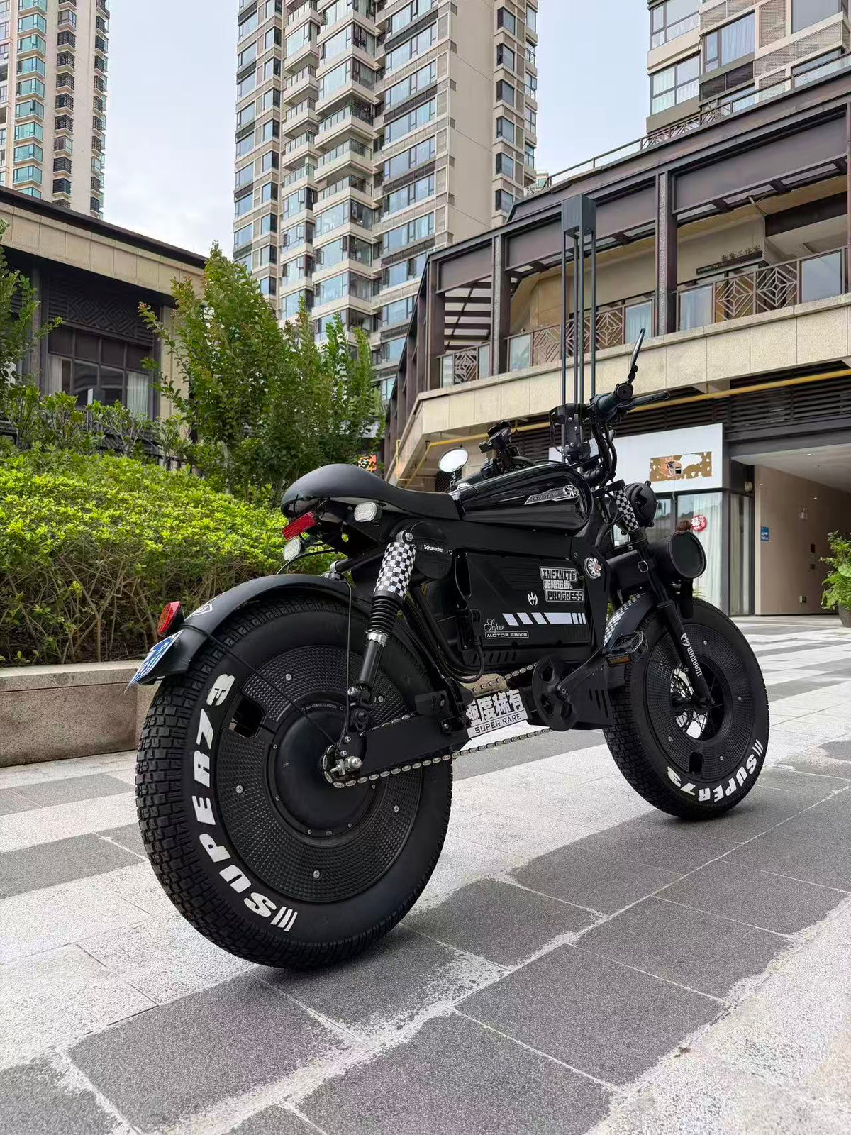 UK Orders Only | OWAY SK-1 Panther Long Range High-Speed Fat Tire Electric Bike