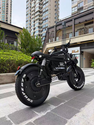 UK Orders Only | OWAY SK-1 Panther Long Range High-Speed Fat Tire Electric Bike
