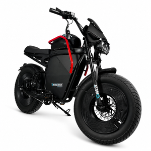 OWAY X1 Retro Fat Tire Electric Bike, High Speed Long Range Electric Bicycle for Adults