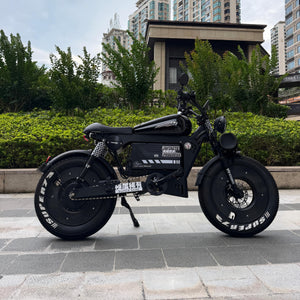 OWAY SK-1 Phantom Edition | 140KM Long Range High-Speed Retro Fat Tire Electric Bike with Removable Battery & Bluetooth Speaker