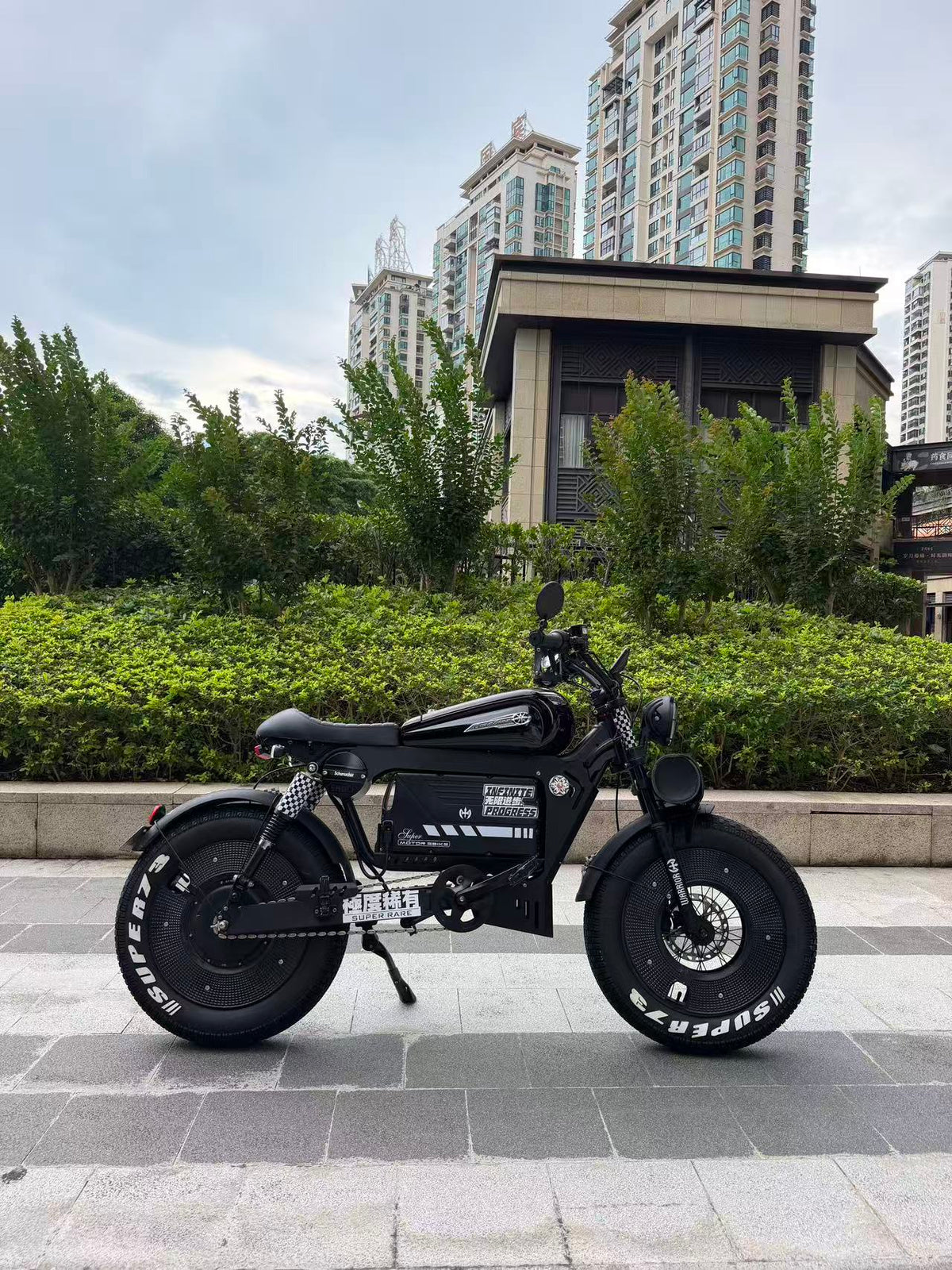 UK Orders Only | OWAY SK-1 Panther Long Range High-Speed Fat Tire Electric Bike