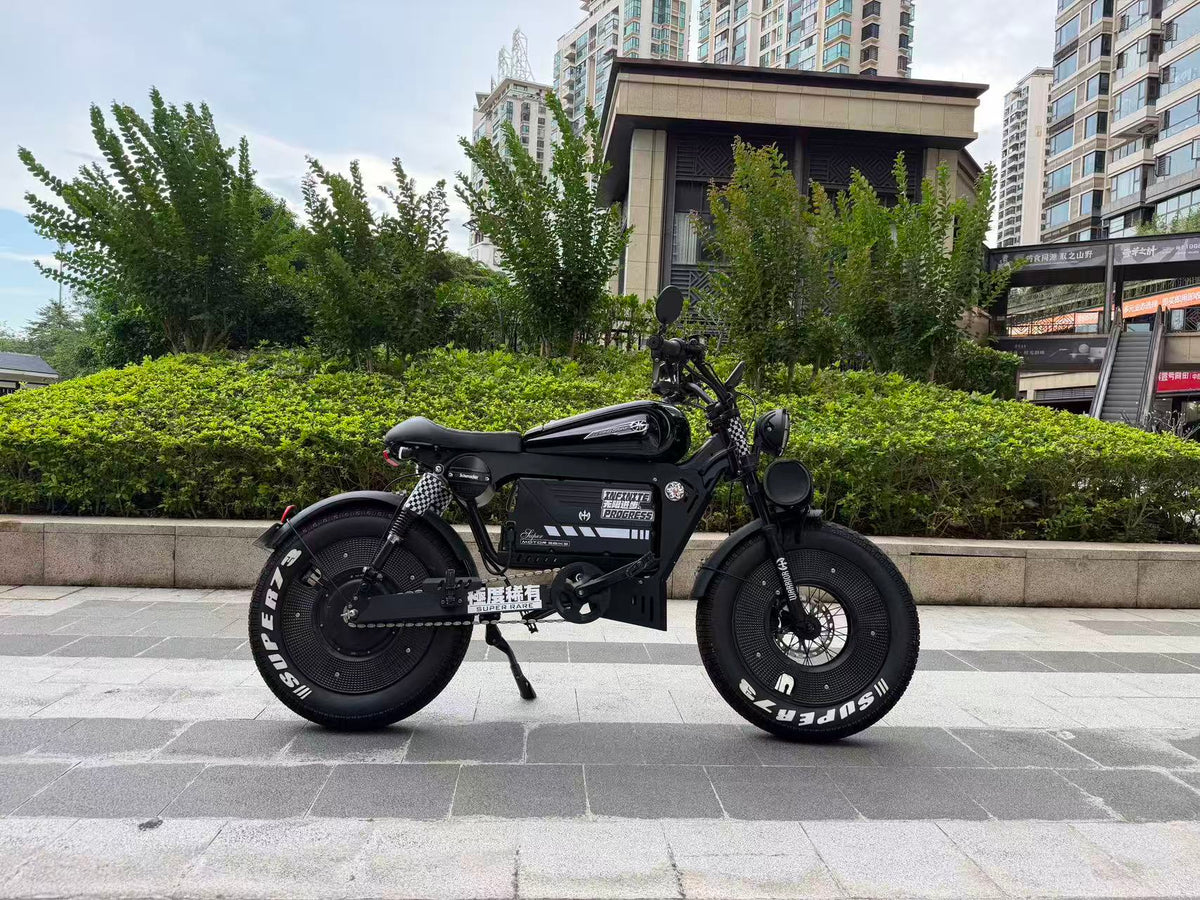 UK Orders Only | OWAY SK-1 Panther Long Range High-Speed Fat Tire Electric Bike