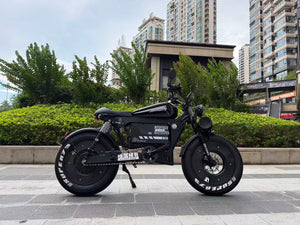 UK Orders Only | OWAY SK-1 Panther Long Range High-Speed Fat Tire Electric Bike