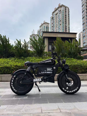 UK Orders Only | OWAY SK-1 Panther Long Range High-Speed Fat Tire Electric Bike