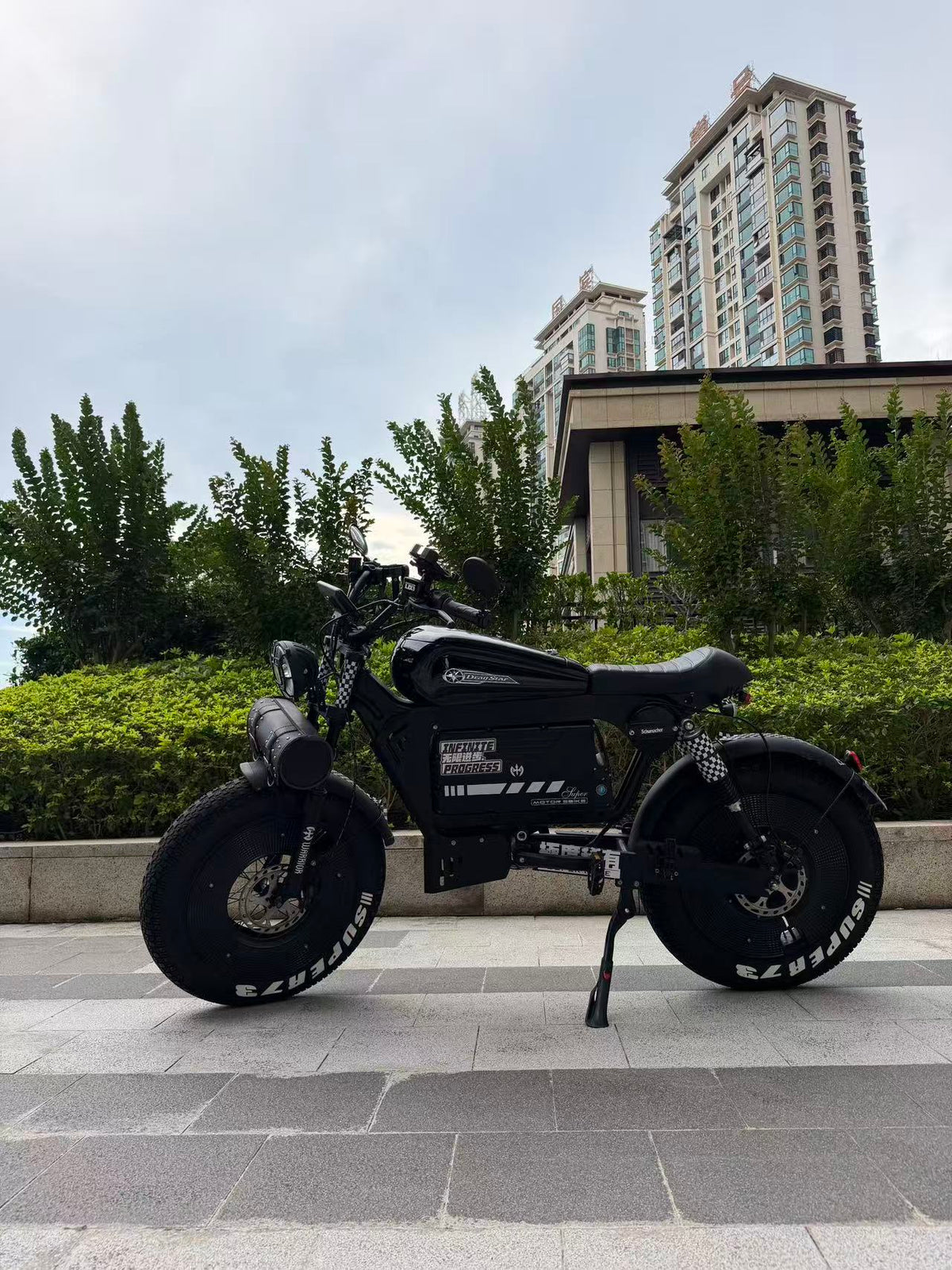 UK Orders Only | OWAY SK-1 Panther Long Range High-Speed Fat Tire Electric Bike