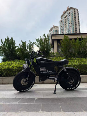 UK Orders Only | OWAY SK-1 Panther Long Range High-Speed Fat Tire Electric Bike