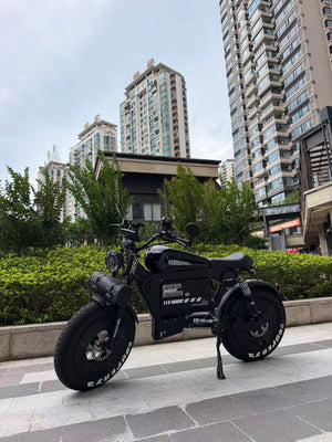UK Orders Only | OWAY SK-1 Panther Long Range High-Speed Fat Tire Electric Bike