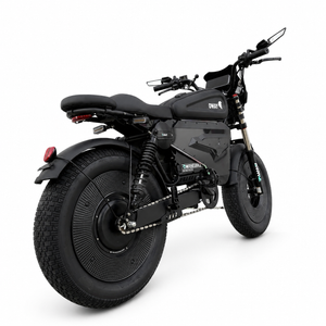 OWAY SK-1 Electric Bike 3000W Brushless Motor 60V 50Ah Full Suspension Ebike, 50MPH, 100-Mile Range, GPS, Adjustable RGB Battery Armor, New Windshield