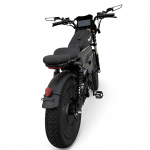 OWAY SK-1 Electric Bike 3000W Brushless Motor 60V 50Ah Full Suspension Ebike, 50MPH, 100-Mile Range, GPS, Adjustable RGB Battery Armor, New Windshield