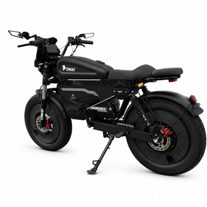 OWAY SK-1 Electric Bike 3000W Brushless Motor 60V 50Ah Full Suspension Ebike, 50MPH, 100-Mile Range, GPS, Adjustable RGB Battery Armor, New Windshield