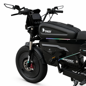 OWAY SK-1 Electric Bike 3000W Brushless Motor 60V 50Ah Full Suspension Ebike, 50MPH, 100-Mile Range, GPS, Adjustable RGB Battery Armor, New Windshield