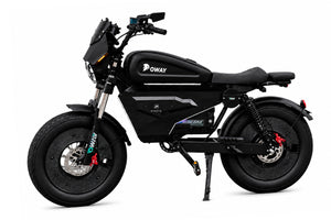 OWAY SK-1 Ultra Electric Bike 3000W Brushless Motor 60V 50Ah Full Suspension Ebike, 50MPH, 100-Mile Range, GPS, Adjustable RGB Battery Armor, New Windshield