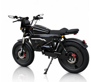 3000W High Speed Retro Smart Fat Tire E-Bike for Adults, 60V 50Ah Long Range Battery City Electric Bicycle, Equipped with Cruise Control, Bluetooth Audio, Speed Limiter and Anti-Theft System