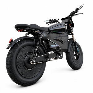 3000W High Speed Retro Smart Fat Tire E-Bike for Adults, 60V 50Ah Long Range Battery City Electric Bicycle, Equipped with Cruise Control, Bluetooth Audio, Speed Limiter and Anti-Theft System
